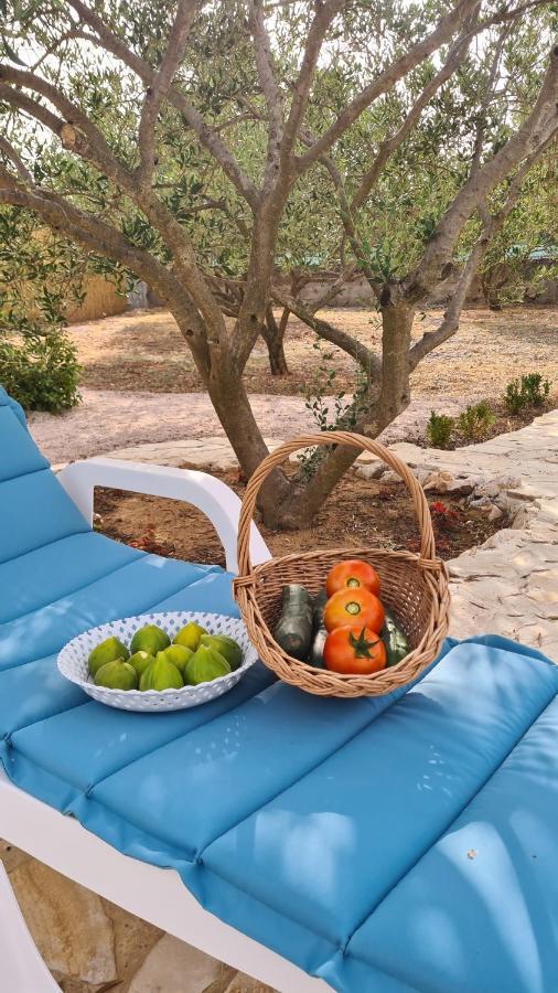 Villa Bubica- Cozy Holiday Home In Rural Area With Pool Stankovci  外观 照片