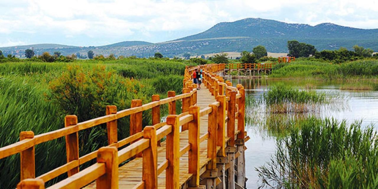 Villa Bubica- Cozy Holiday Home In Rural Area With Pool Stankovci  外观 照片